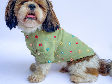 Pawgypets Festive Shirt for Dogs and Cats (Pista Green) Online Sale