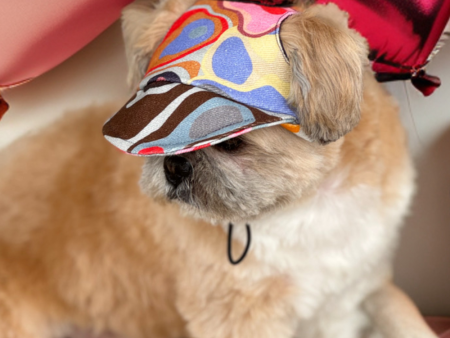 Pawgypets Cap for Dogs (Multi Color) Fashion