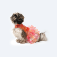 Pawgypets Frill Dress for Dogs and Cats (Orange) For Sale