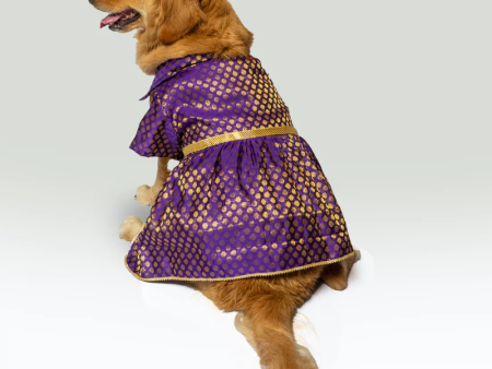 Pawgypets Occasion Wear Dress for Dogs and Cats (Purple) Cheap