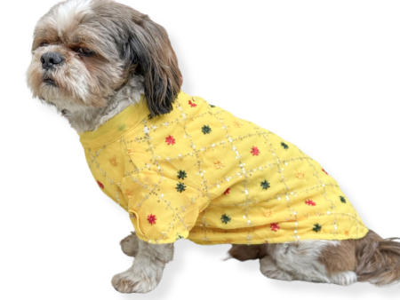 Pawgypets Festive Shirt for Dogs and Cats (Yellow) Online