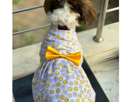 Pawgypets Smiley O Clock Dress for Dogs (Lavender) Fashion