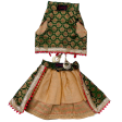 Pawgypets Brocade Lehenga for Dogs and Cats (Green) Online now