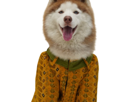 Floof & Co Cotton Kurta for Dogs (Mustard) Cheap