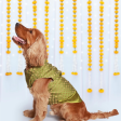 Pet Set Go Kurta for Dogs (Green) For Discount