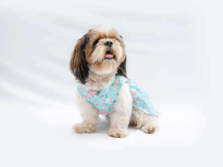 Pawgypets Floral Casual Dress for Dogs and Cats on Sale