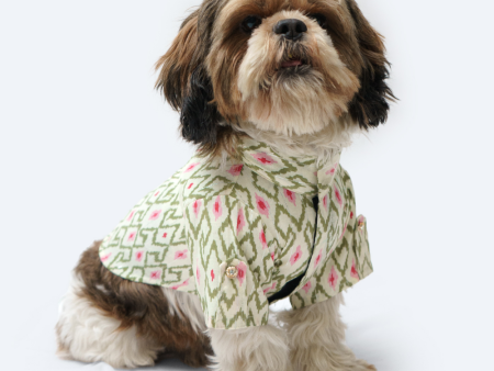 Pawgypets Heritage Kurta for Dogs and Cats (Off White Pink) Online Hot Sale