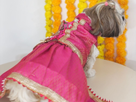 Pawgypets Brocade Lehenga for Dogs and Cats (Pink) Sale