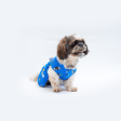 Pawgypets Evil Eye Casual Dress for Dogs and Cats Online now