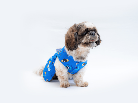 Pawgypets Evil Eye Casual Dress for Dogs and Cats Online now