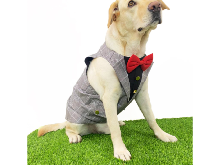 Dogobow Checked Tuxedo for Dogs (Grey) (Get a Bow Free) Fashion