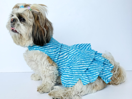 Pawgypets Lehriya Dress for Dogs and Cats (Blue) Online now