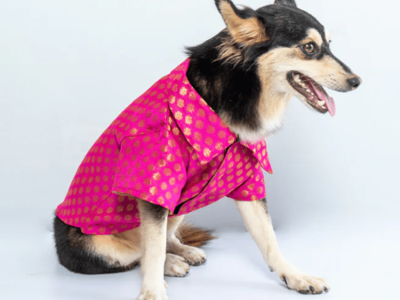 Pawgypets Occasion Wear Shirt for Dogs and Cats (Pink) Cheap