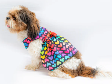 Pawgypet Multi Heart Dress for Dogs (Multi Colour) Sale