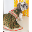 Pawgypets Brocade Lehenga for Dogs and Cats (Green) Online now