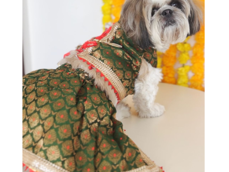 Pawgypets Brocade Lehenga for Dogs and Cats (Green) Online now