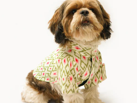 Pawgypets Heritage Summer Kurta for Dogs and Cats (Off White with Pink) Hot on Sale