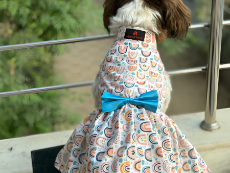 Pawgypets Rainbow Dress for Dogs (Off White) Fashion