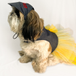 Pawgypets Denim Frilly Dress for Dogs and Cats (Blue Yellow) Sale