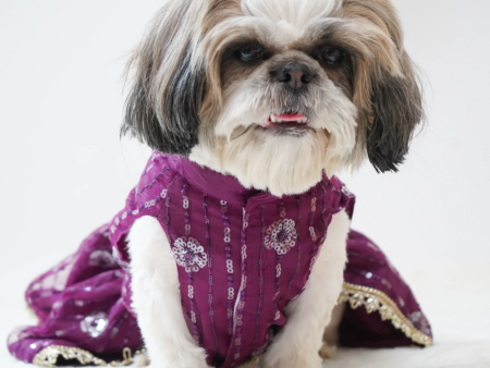 Pawgypets Net Lehenga for Dogs (Violet) Cheap