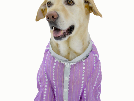 Dogobow Mirror Kurta for Dogs (Lilac) Online Sale