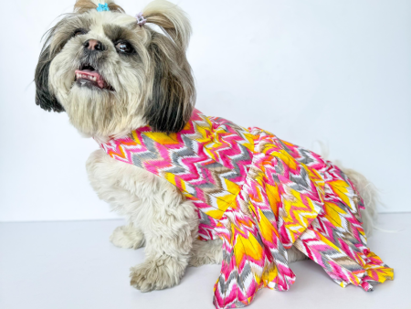 Pawgypets Zig Zag Dress for Dogs and Cats (Pink) For Sale