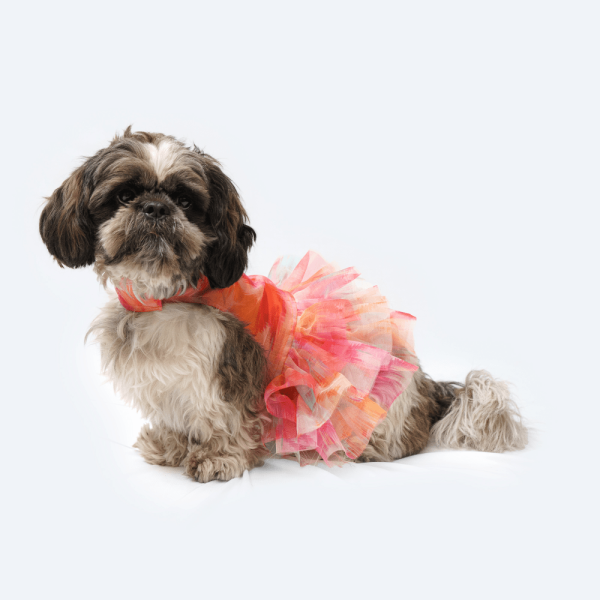 Pawgypets Frill Dress for Dogs and Cats (Orange) For Sale