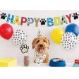 Dog Birthday Party Kit Online Hot Sale