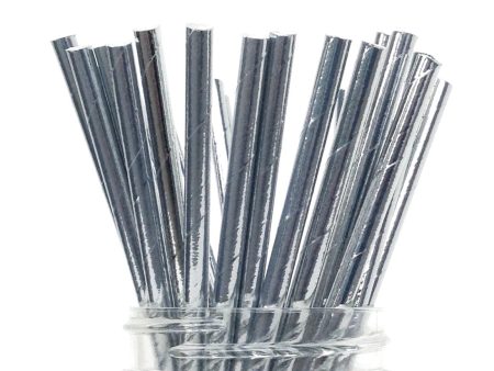 Metallic Silver Straws - 20 Pkt For Discount