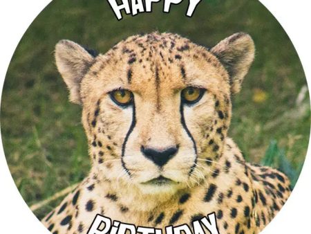 Cheetah Edible Cake Image Hot on Sale