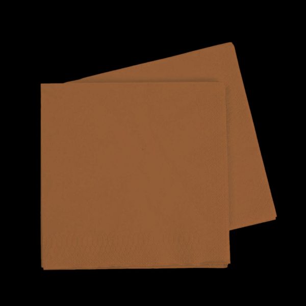 Five Star Acorn Napkins - Lunch 40 Pkt Hot on Sale